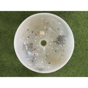 Lavabo Appoggio Conchiglia - Cipì